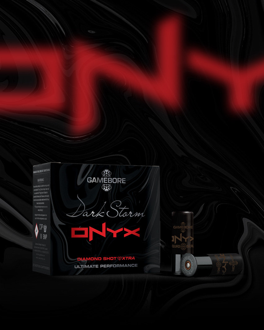 Gamebore Dark Storm Onyx